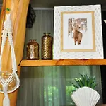 Patak Dream House 펜션 Szokolya