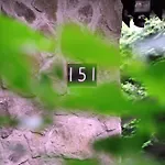 Patak Dream House * Szokolya