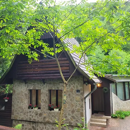 Patak Dream House